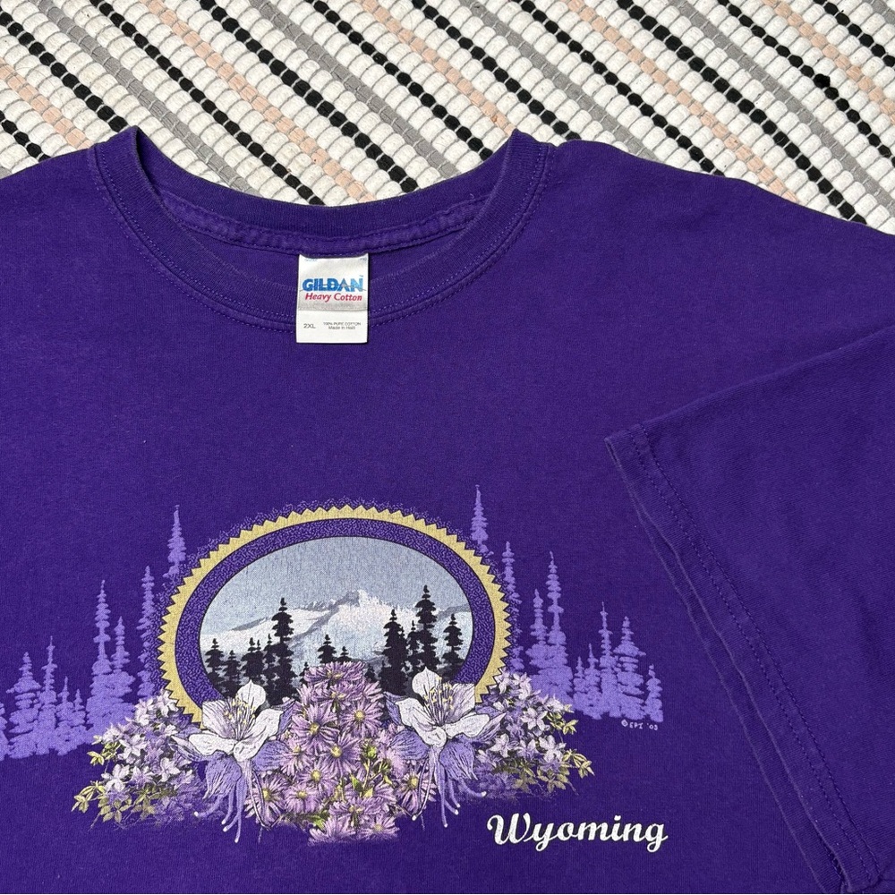 Vintage Wyoming Destination T Shirt